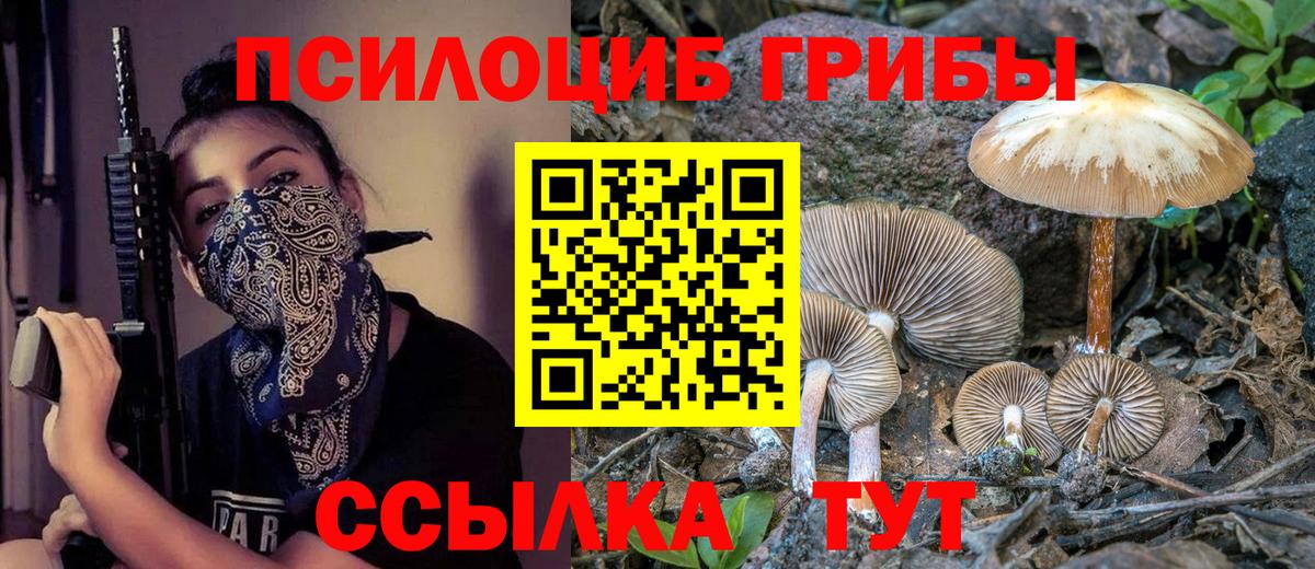 Зеленодольск  Псилоцибиновые грибы Psilocybine cubensis  Вход с VPN  наркотики  Псилоцибиновые грибы Psilocybine cubensis 