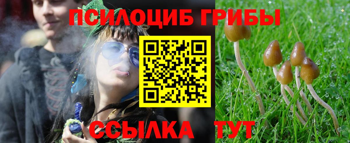 Галлюциногенные грибы MAGIC MUSHROOMS Зеленодольск